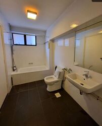 The Cairnhill (D9), Condominium #508925011